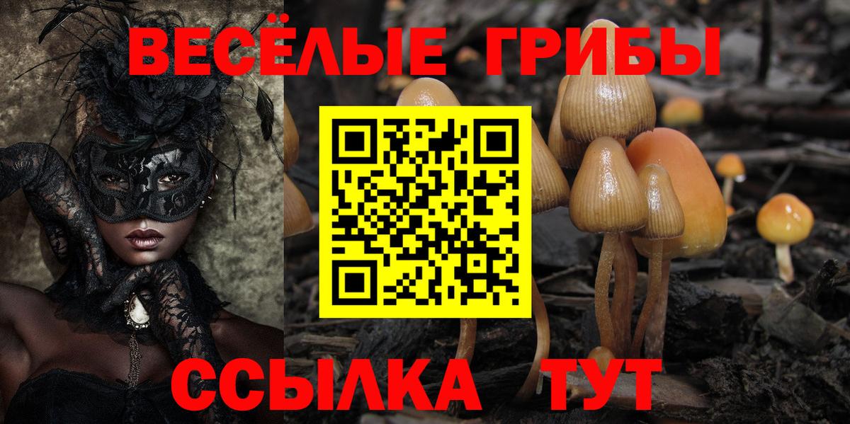 Псилоцибиновые грибы Magic Shrooms Алушта